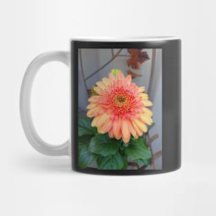 Sunny Side Up Mixed Gerbera Mug